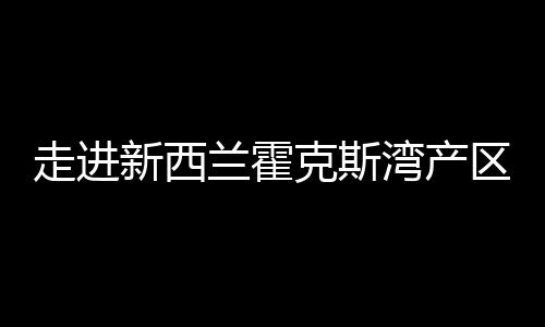 走進新西蘭霍克斯灣產區