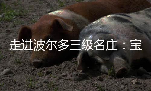 走進(jìn)波爾多三級(jí)名莊：寶馬莊園