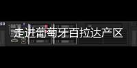 走進葡萄牙百拉達產區