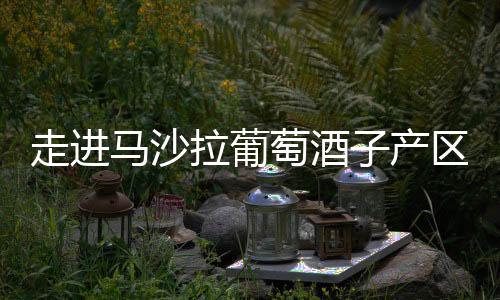 走進馬沙拉葡萄酒子產(chǎn)區(qū)