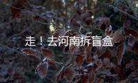 走！去河南拆盲盒