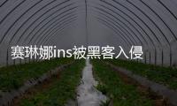 賽琳娜ins被黑客入侵 公開比伯全裸照