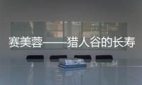 賽美蓉——獵人谷的長壽之星