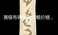 賽級布偶貓的大概價格，賽級布偶貓是什么意思