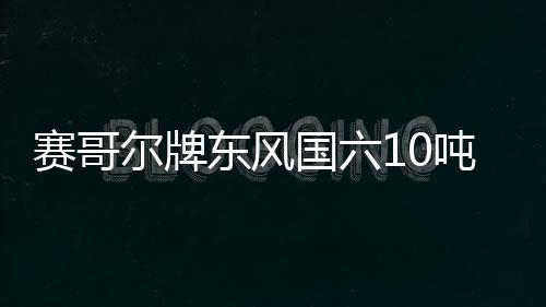 賽哥爾牌東風國六10噸灑水車怎么選擇專汽家園
