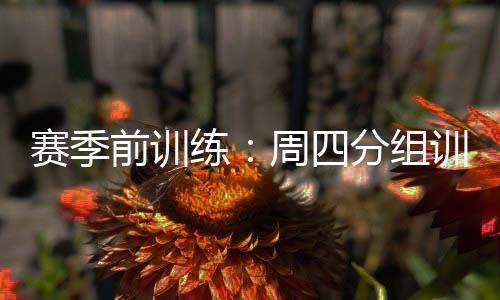 賽季前訓練：周四分組訓練