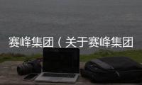 賽峰集團（關于賽峰集團的基本情況說明介紹）