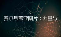 賽爾號蓋亞圖片：力量與固執的象征