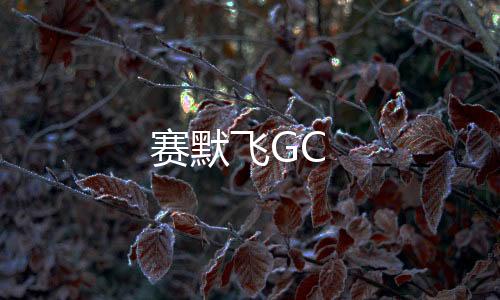 賽默飛GC