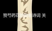贊芍藥花的勵志詩詞 關于芍藥的詩詞