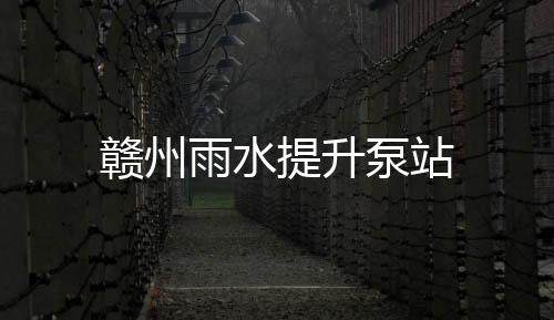 贛州雨水提升泵站
