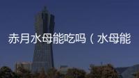 赤月水母能吃嗎（水母能吃嗎）