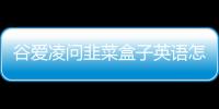 谷愛凌問韭菜盒子英語怎么說 韭菜盒子要煎多久