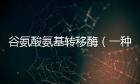 谷氨酸氨基轉移酶（一種重要的生物化學指標）