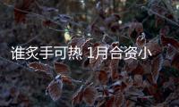 誰炙手可熱 1月合資小型SUV競爭力分析