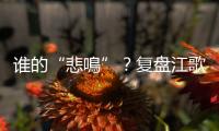 誰的“悲鳴”？復盤江歌遇害案