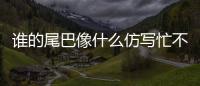 誰的尾巴像什么仿寫忙不忙不（誰的尾巴像什么仿寫）