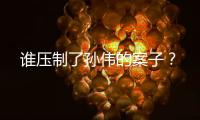 誰壓制了孫偉的案子？