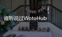 誰聽說過WotoHub？被譽為海外網絡名人營銷神器？