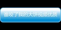 誰咬了我的大餅視頻優質課（誰咬了我的大餅視頻）