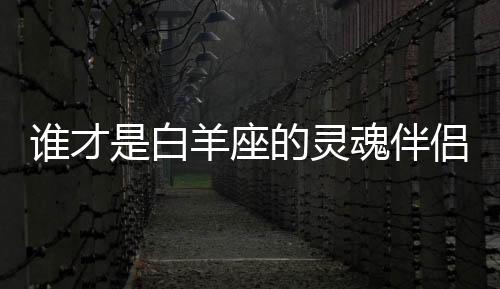 誰才是白羊座的靈魂伴侶