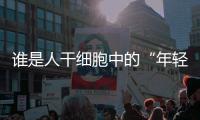 誰是人干細胞中的“年輕化”因子？