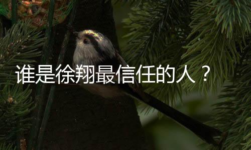 誰是徐翔最信任的人？ 他手下有“八大金剛”