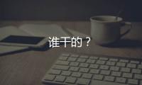 誰干的？