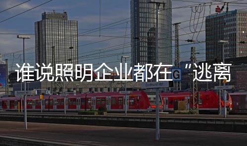 誰說照明企業都在“逃離”新三板 12月不是又有一波嗎?