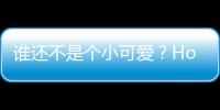 誰還不是個小可愛？Honda e公布核心信息