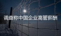 調(diào)查稱中國企業(yè)高管薪酬競爭力緊隨美英德之后