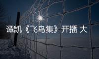 譚凱《飛鳥集》開播 大隱于世篤守行業傳承