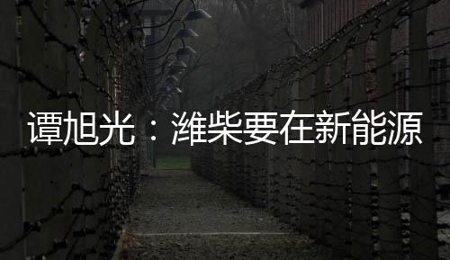 譚旭光：濰柴要在新能源領(lǐng)域與全球走在前沿的科技公司深度合作！