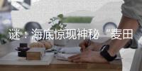 謎：海底驚現(xiàn)神秘“麥田怪圈”從何而來