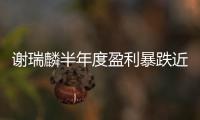謝瑞麟半年度盈利暴跌近94% 將要求業(yè)主減租或免租