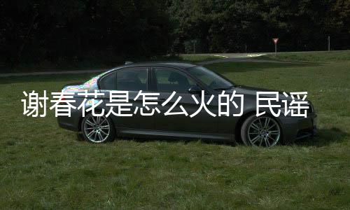 謝春花是怎么火的 民謠歌曲有哪些