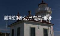 謝娜的老公張杰是誰呀 張杰一路事業發展太過艱辛