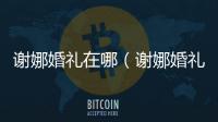 謝娜婚禮在哪（謝娜婚禮嘉賓）