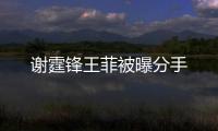 謝霆鋒王菲被曝分手