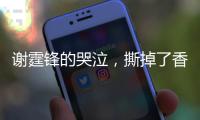 謝霆鋒的哭泣，撕掉了香港電影的最后一塊遮羞布