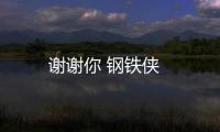 謝謝你 鋼鐵俠
