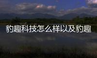 豹趣科技怎么樣以及豹趣科技是什么軟件平臺的情況分析