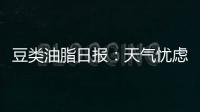 豆類油脂日?qǐng)?bào)：天氣憂慮暫退，豆類油脂強(qiáng)勢(shì)調(diào)整