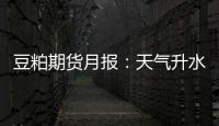 豆粕期貨月報：天氣升水擠出，11月豆粕震蕩偏弱