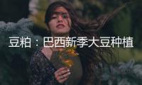 豆粕：巴西新季大豆種植最早開局