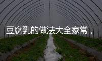 豆腐乳的做法大全家常，豆腐乳的做法