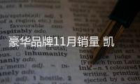 豪華品牌11月銷量 凱迪拉克同比增長45%