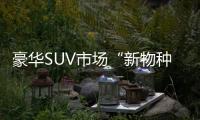 豪華SUV市場“新物種” 這些車型前景如何？