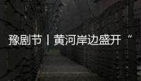 豫劇節丨黃河岸邊盛開“中國紅”