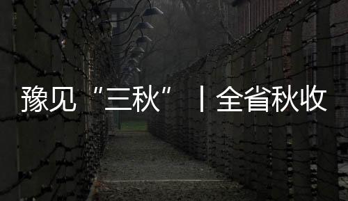 豫見“三秋”丨全省秋收過半